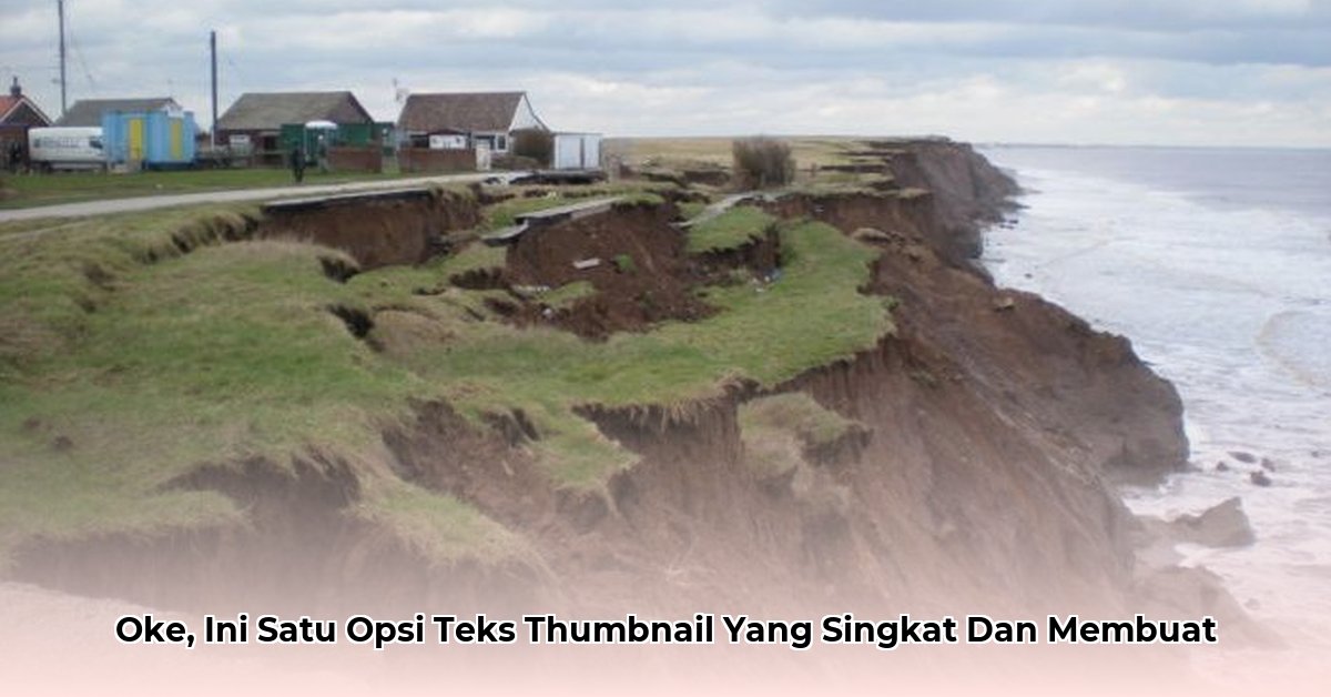 holderness-family-net-worth